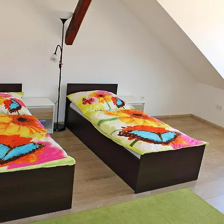 Attic With Parking, Near The Center Of Cb - 110m2 Ceske Budejovice