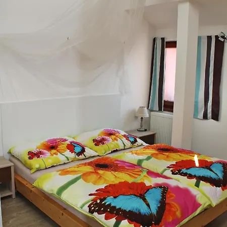 Attic With Parking, Near The Center Of Cb - 110m2 Apartment Budweis
